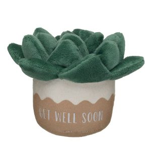 Get Well Soon Succulent Wristie