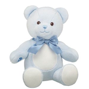 Baby Blue Teddy Bear with Gifting Bow