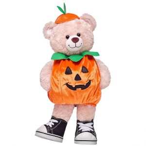Happy Hugs Teddy Bear Pumpkin Costume Gift Set