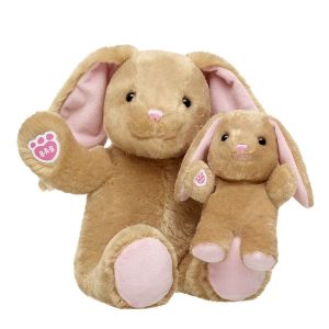 Pawlette™ Bunny Plush &   Mini Beans® Gift Set