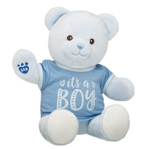 Baby Blue Teddy Bear