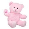 Baby Pink Teddy Bear