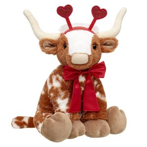 Longhorn Cow Valentine's Day Gift Set