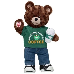 Cocoa Cuddles Teddy Bear Emotional Support Gift Set