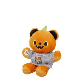 Mini Beans® Pumpkin Teddy Bear with PSL SZN T-Shirt